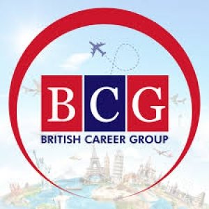 BRITISH CAREER GROUPS